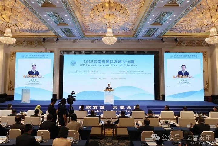 2025云南省国际友城合作周主体活动在昆举办 共叙友谊 共促合作 王予波卢向东出席并致辞