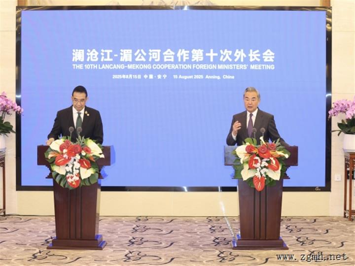 王毅：澜湄合作下一个10年前景可期