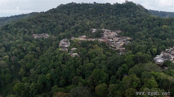 普洱市把生态优势转化为发展优势—— 碳汇资源开发先行先试