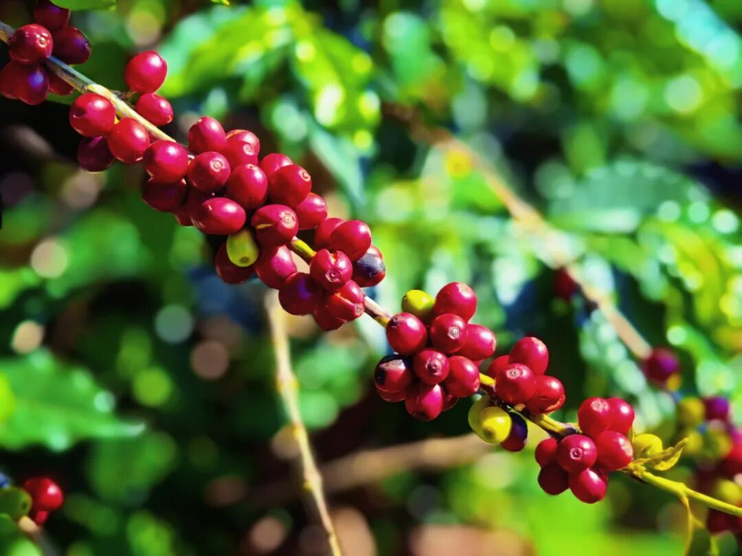 3万亿之上的跨越——云南“十四五”发展成就解码