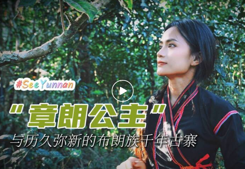 中央广播电视总台CGTN持续聚焦西双版纳文化保护、传承与发展