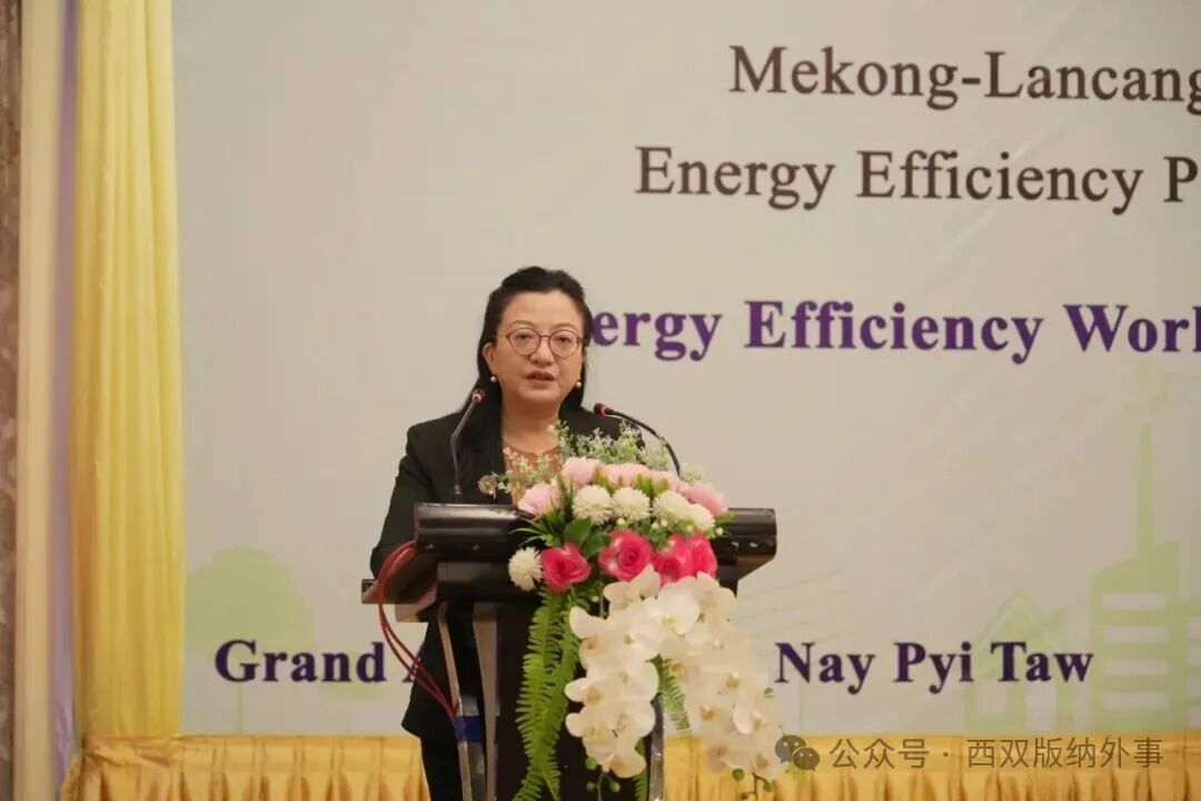 马珈大使出席澜湄食品加工业能效提升项目结项仪式