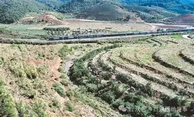 人民日报海外版点赞中老铁路上的“护象人”