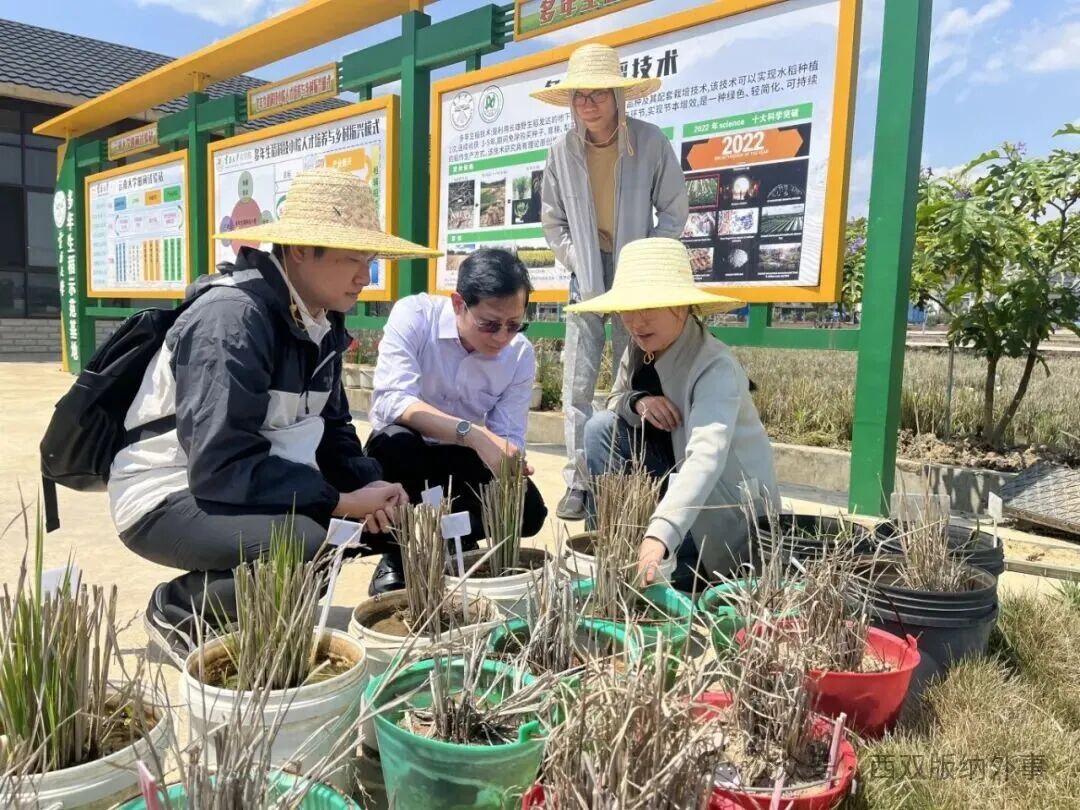 西双版纳州人民政府外事办公室每周工作动态