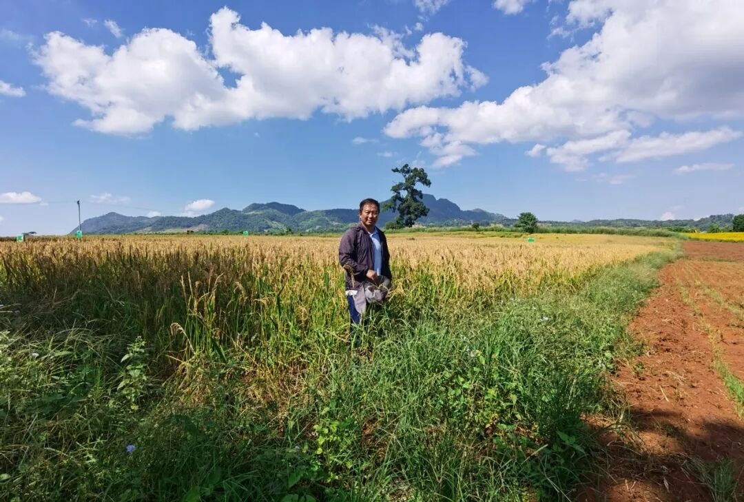 版纳植物园研究员徐鹏荣获全国五一劳动奖章