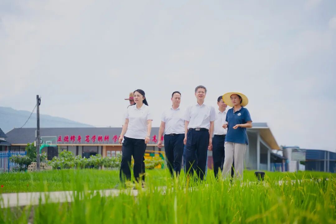 马志刚在勐海县调研时强调：持续壮大资源经济园区经济口岸经济?加快建设农业强县