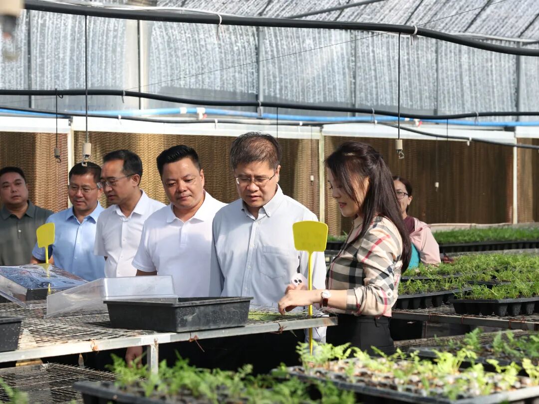 马志刚在景洪市调研时强调：扛牢守边固边责任 大力发展乡村特色产业 筑牢边境安全稳定防线