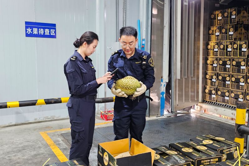 上半年中老铁路进出口货值171.7亿元 同比增长33.8%