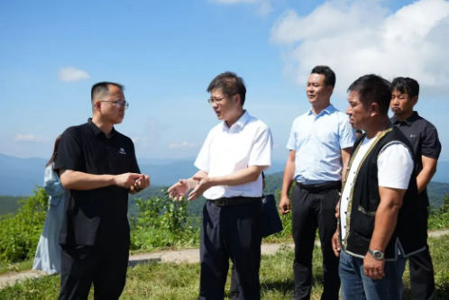 马志刚在勐腊县调研时强调：认真贯彻落实州第十次党代会精神 加快打造“上古茶山”旅游珍珠环线 全力推动